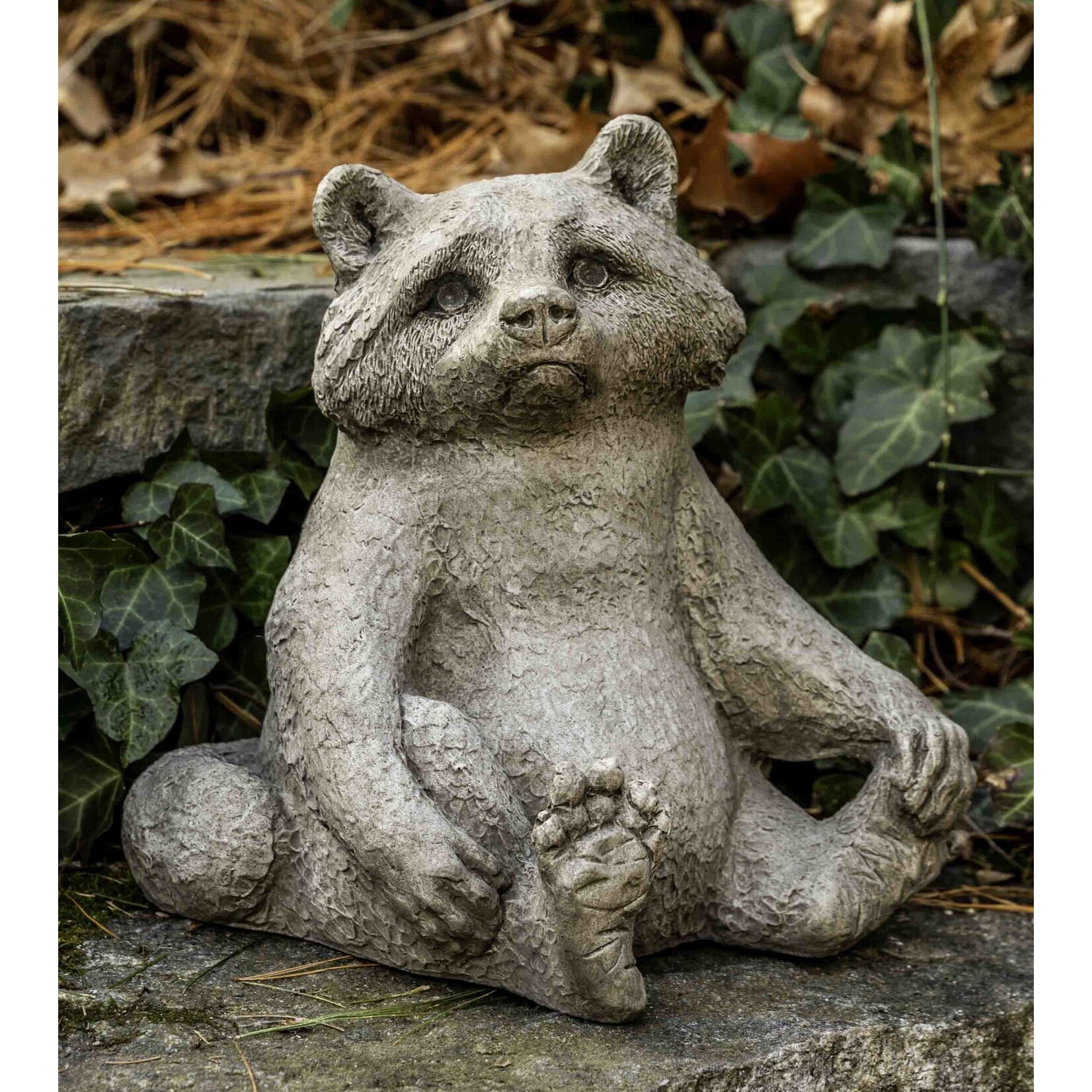 Campania Ricky Raccoon