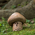 Campania SHroom (Mushroom Statue)