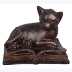 Resin Cat On Book