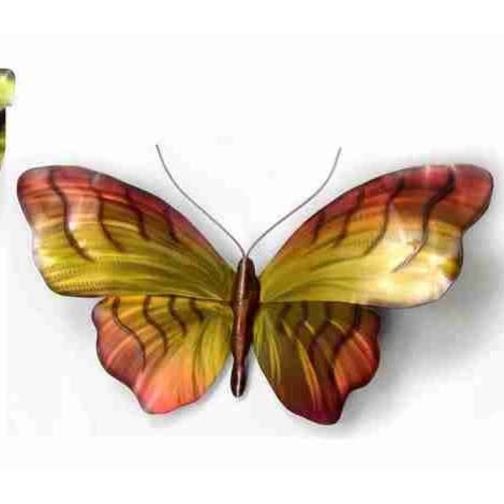 Zebra Butterfly Orange & Yellow Large