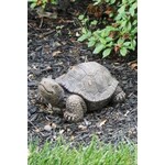 Massarelli Stone Small Tortoise