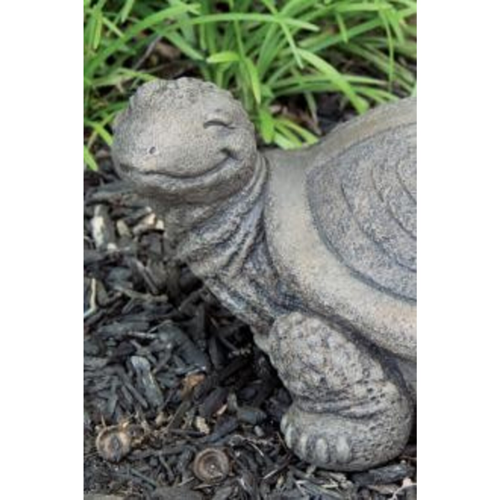 Massarelli Stone Peace  Shell Turtle