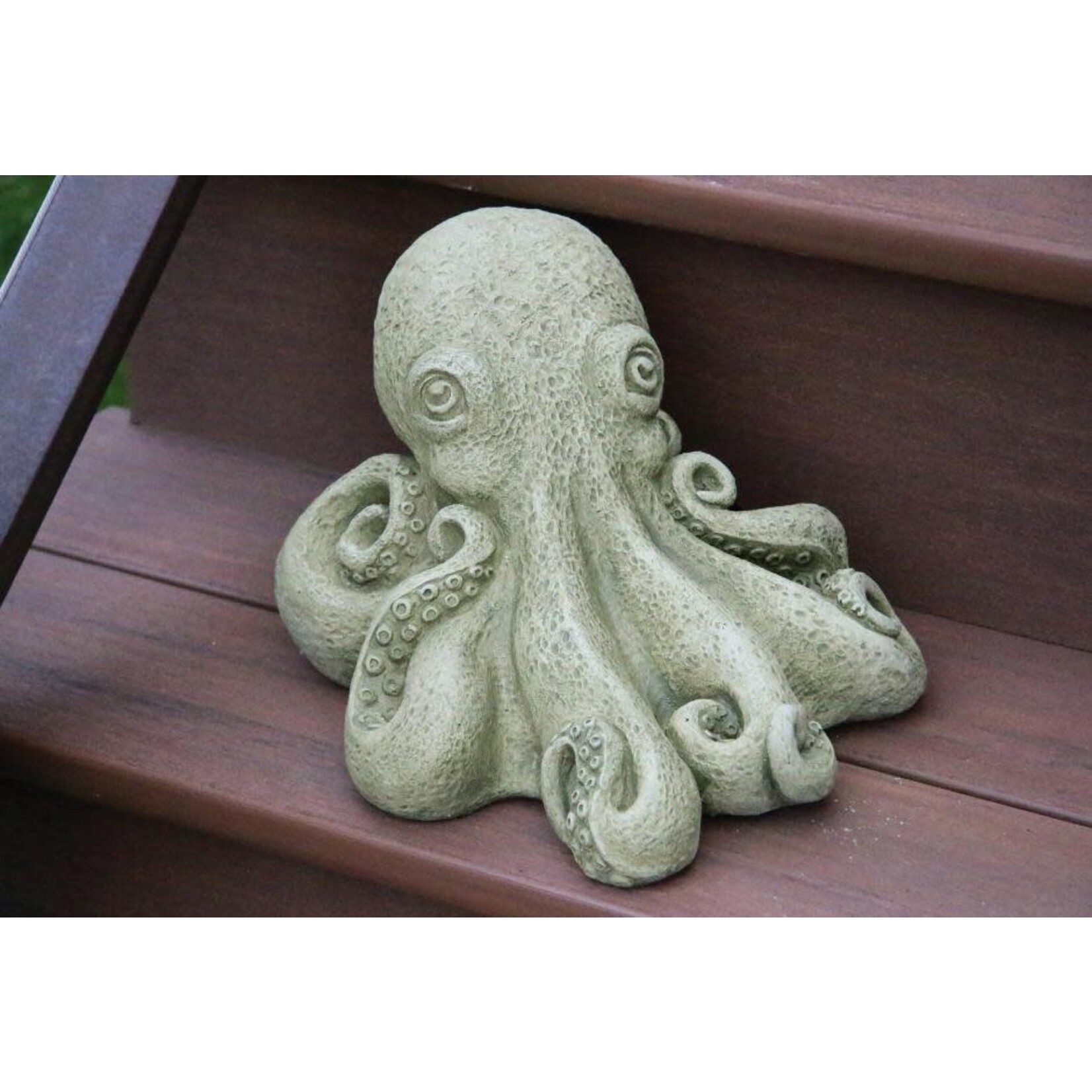 Massarelli Stone Inky the Octopus