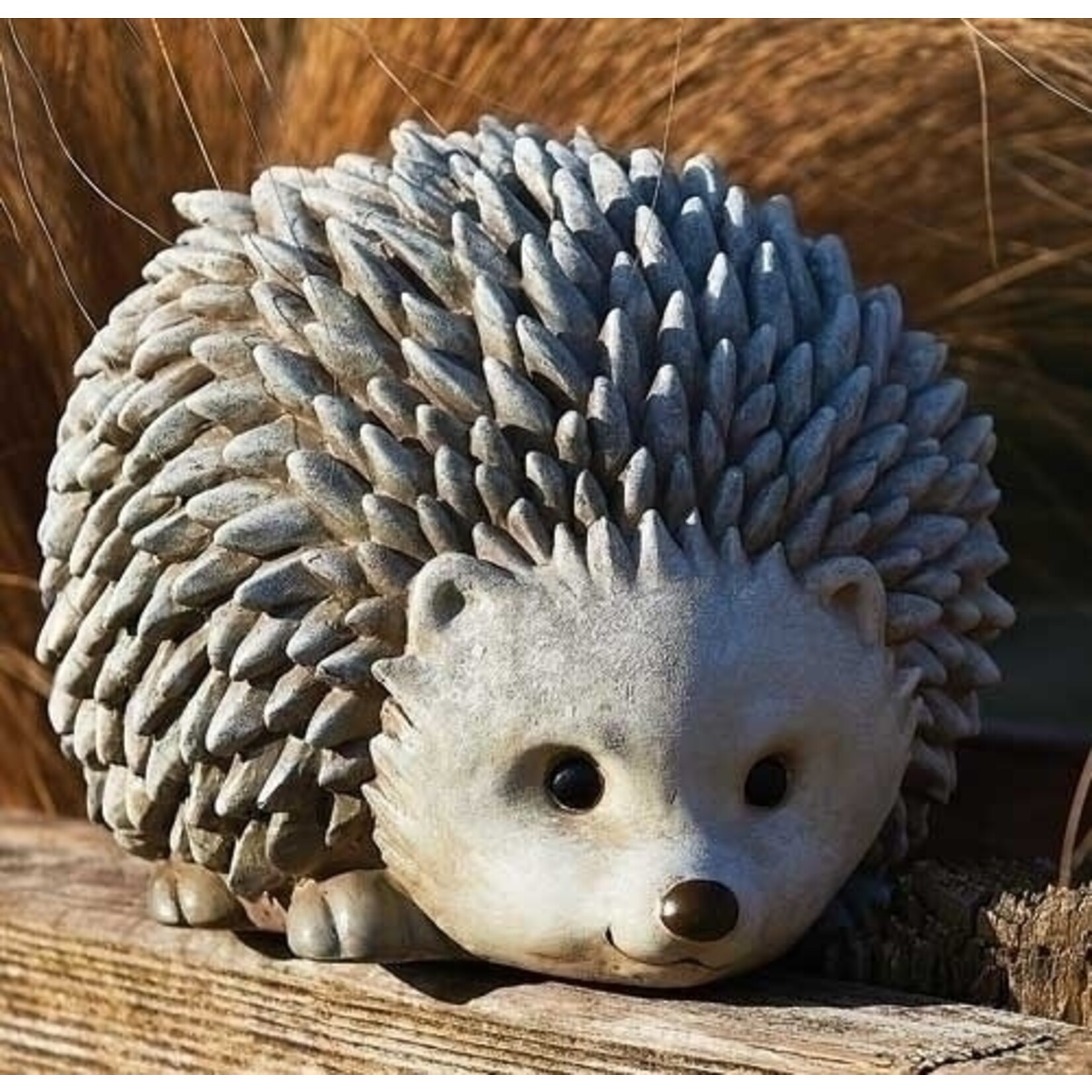 Hedgehog Pudgy Pal