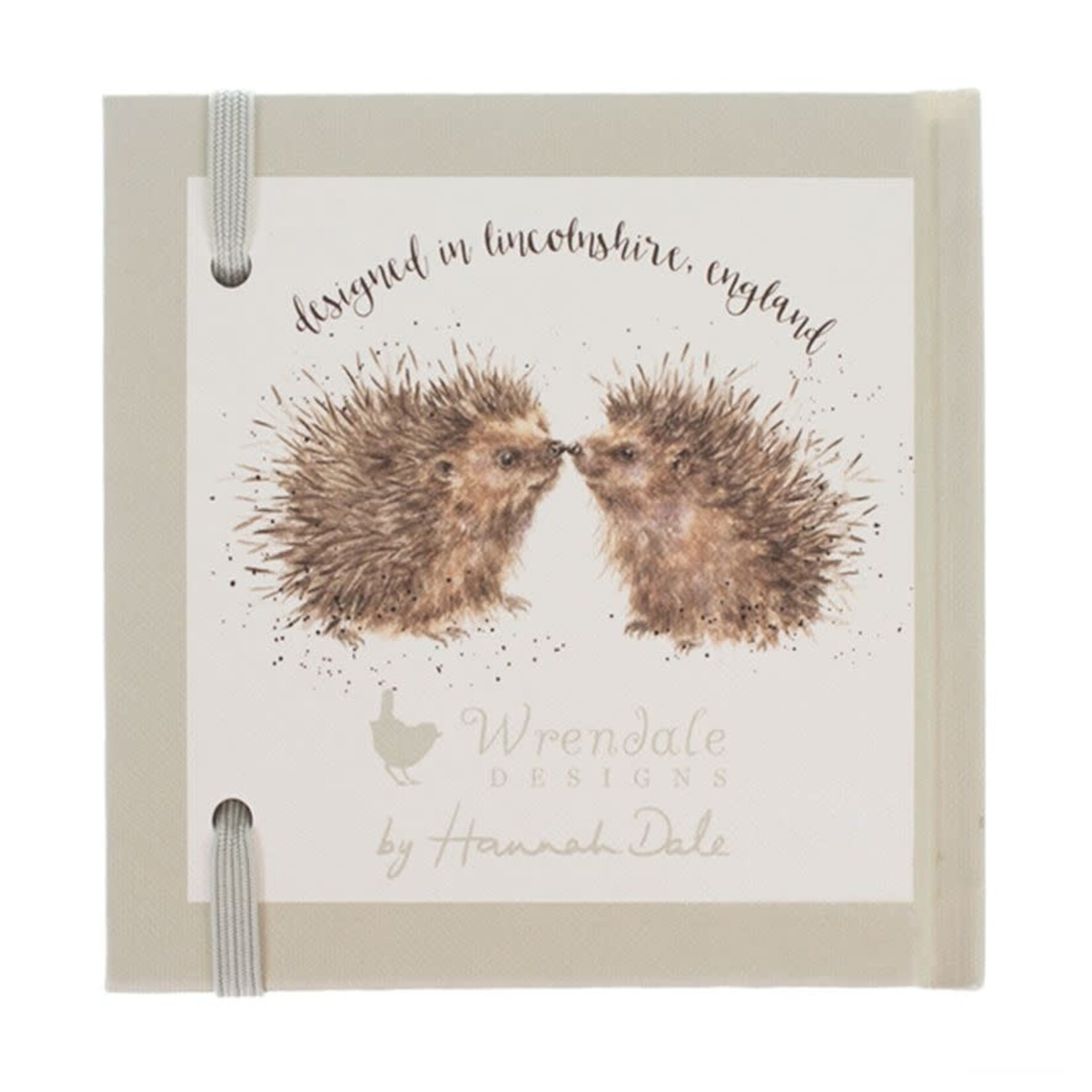 'NEW BEGINNINGS' HEDGEHOG PASSWORD BOOK