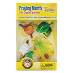 Praying Mantis Life Cycle Figurines Set