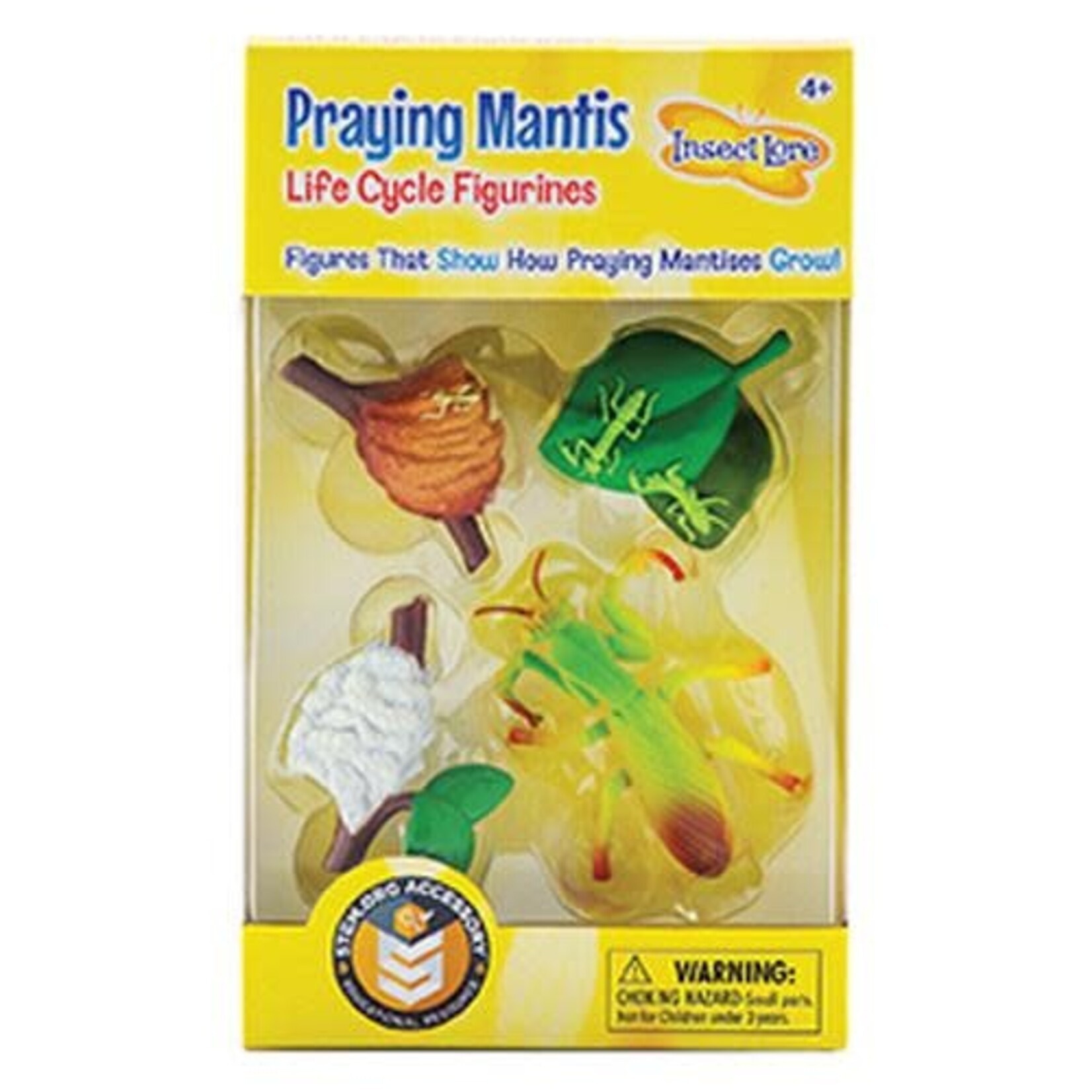 Praying Mantis Life Cycle Figurines