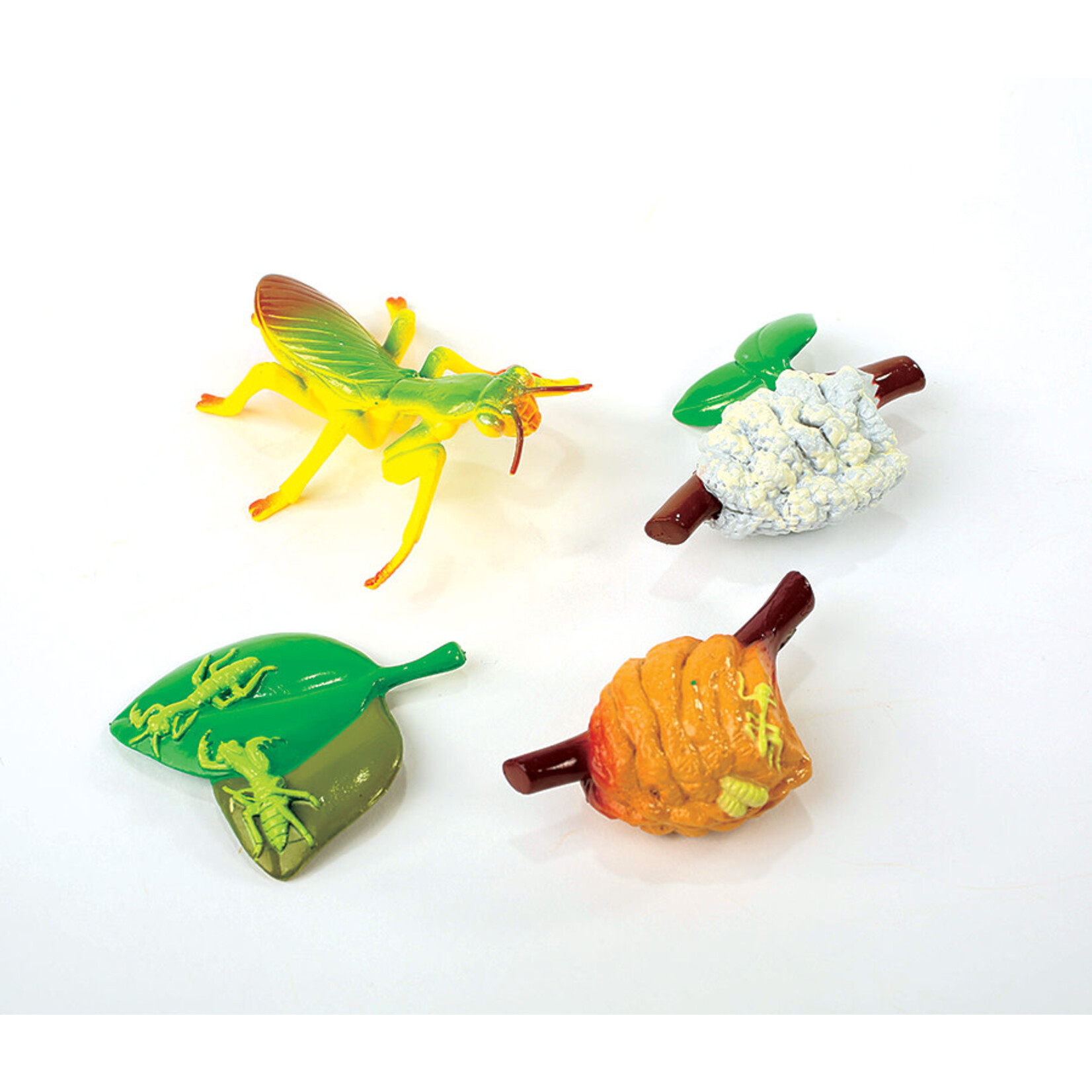 Praying Mantis Life Cycle Figurines Set