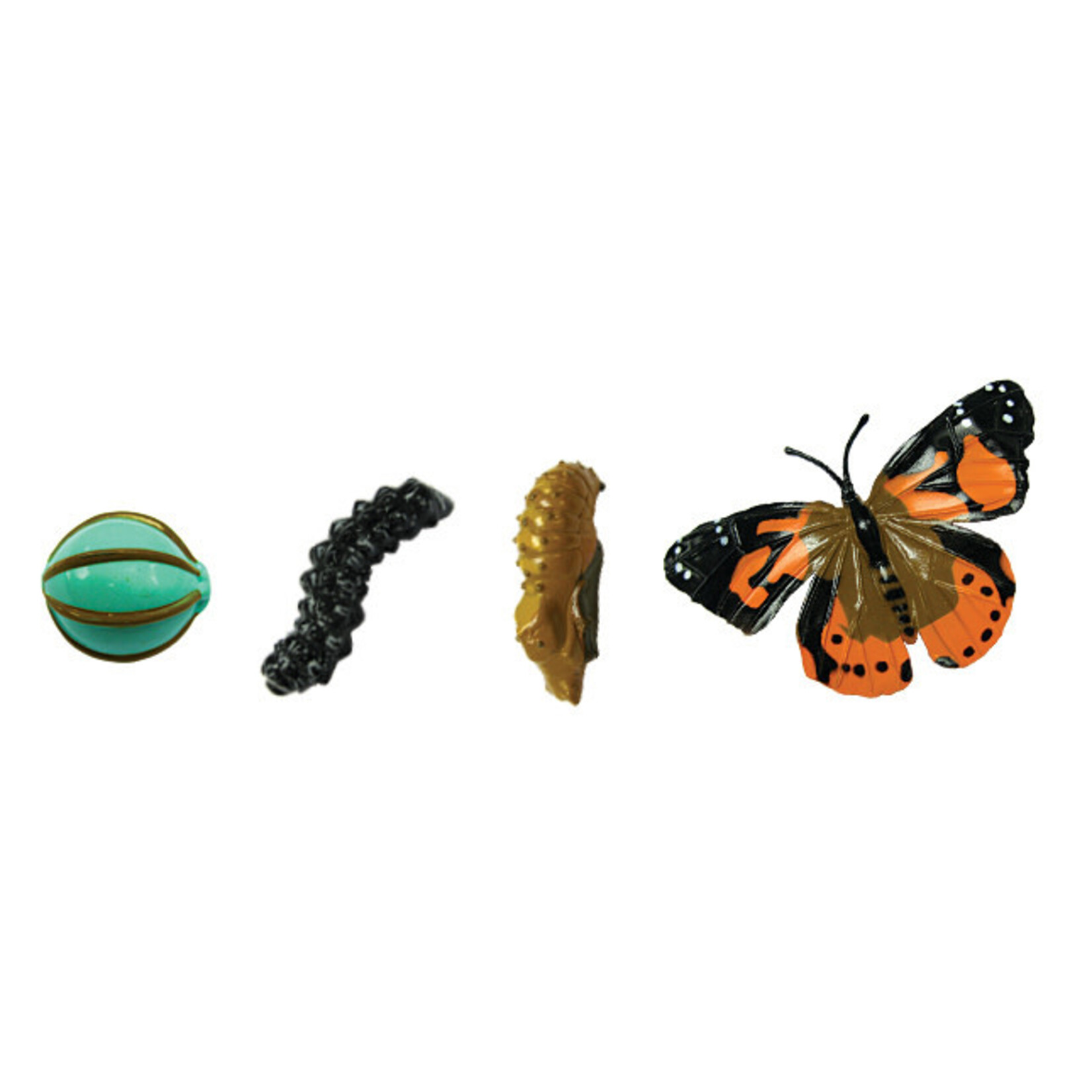 Butterfly Life Cycle - Figurines