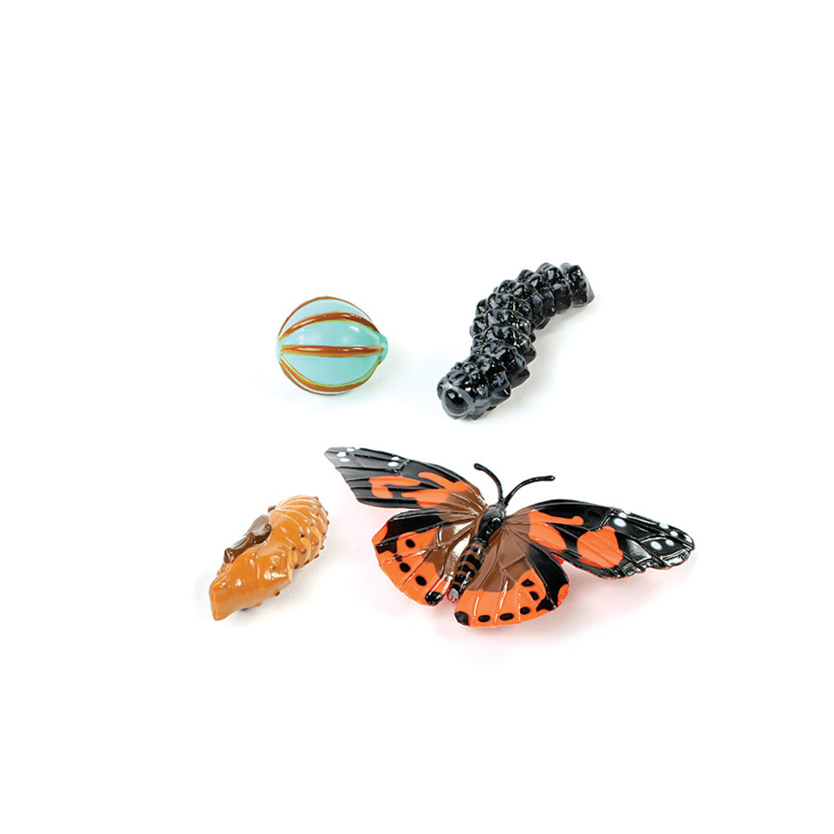 Butterfly Life Cycle Figurines  (bin 21)