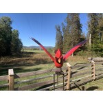 Metal Cardinal Rocker   Small