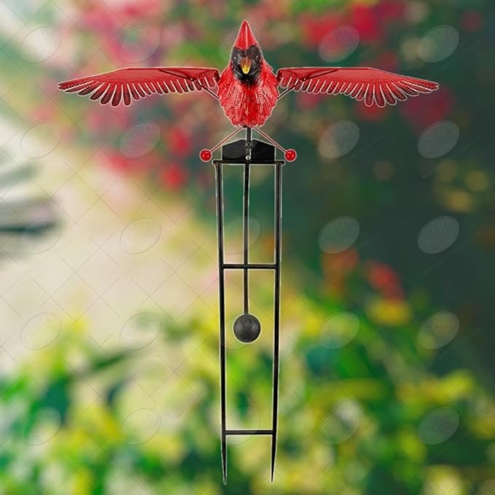 3' Cardinal Rocker  25" Wingspan