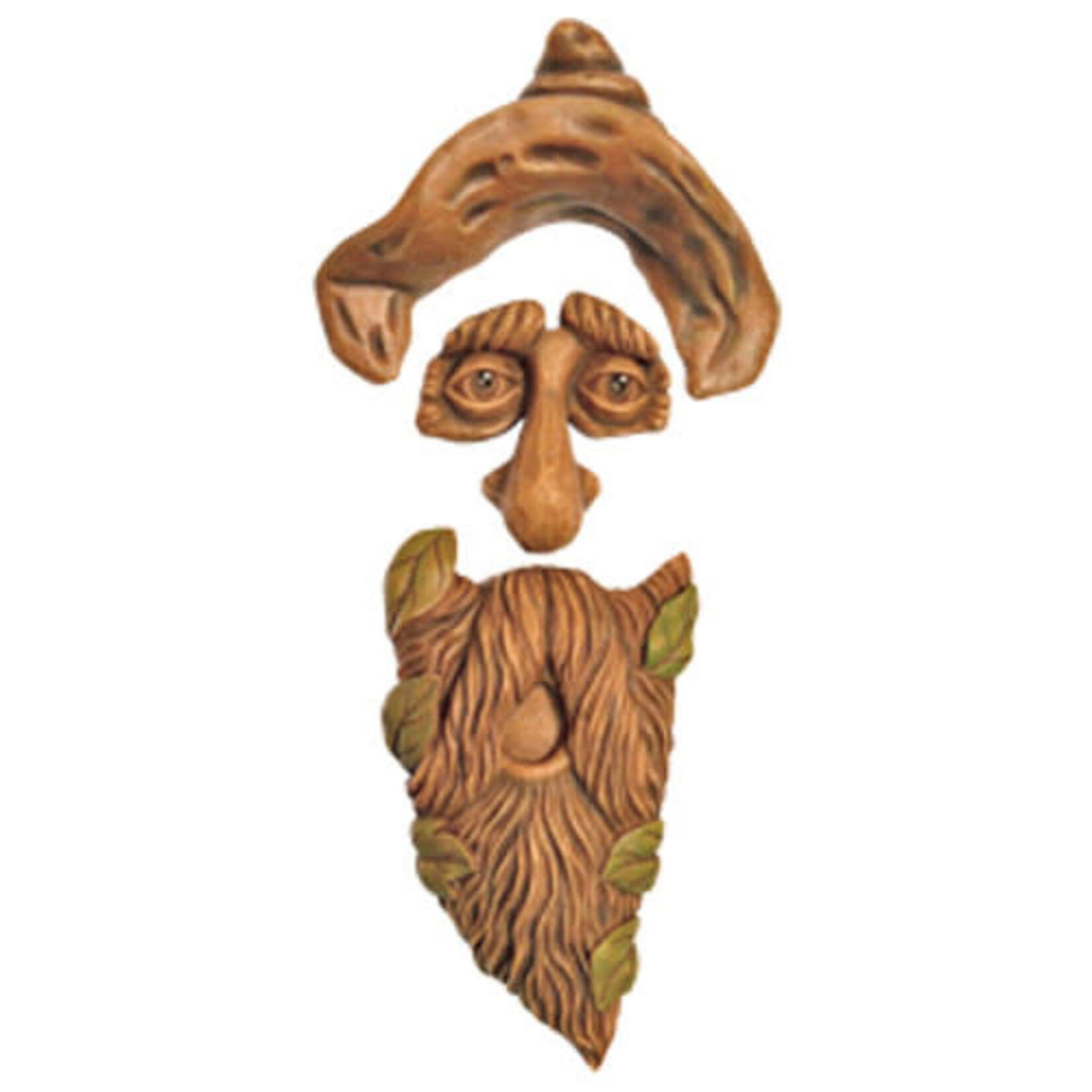 Hank - Tree Face