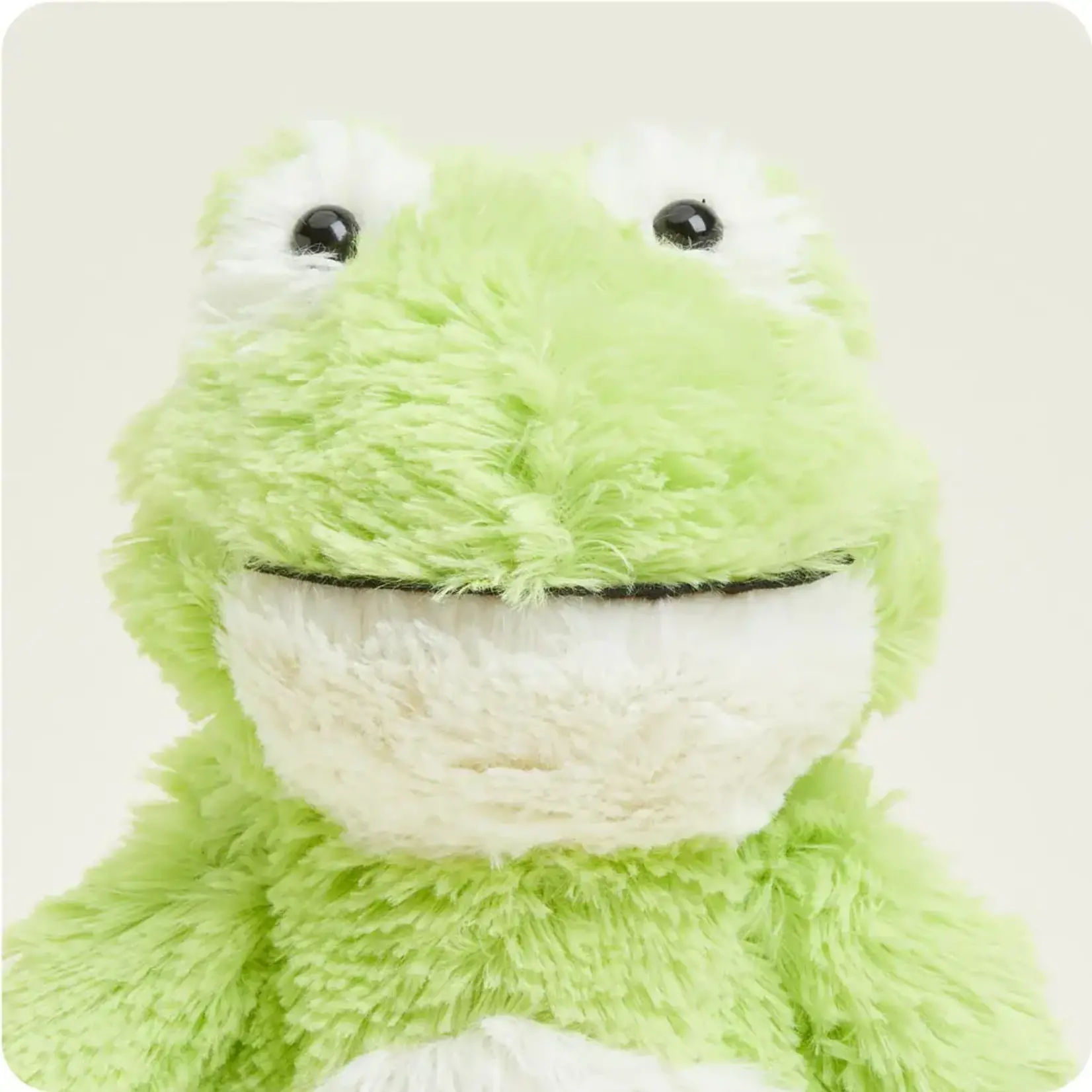 Warmies Frog  Cozy  Plush 13"