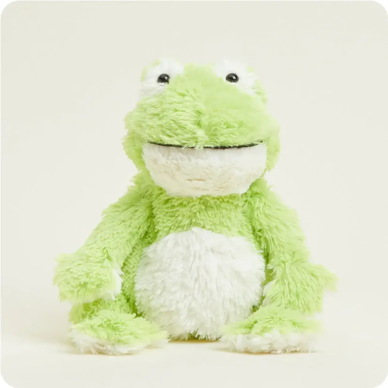 Warmies Frog Cozy Plush 13" ( box 2 )