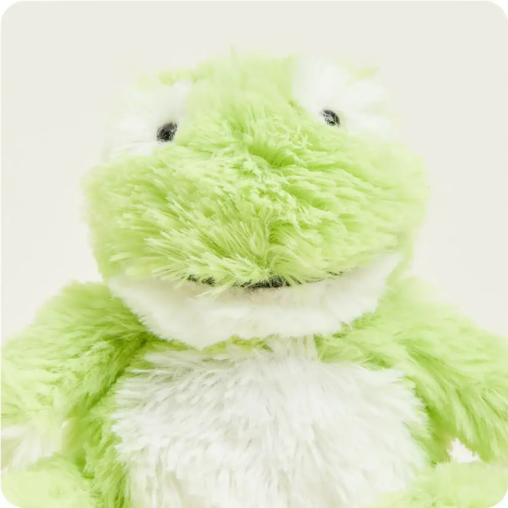 Warmies Junior Frog Cozy Plush