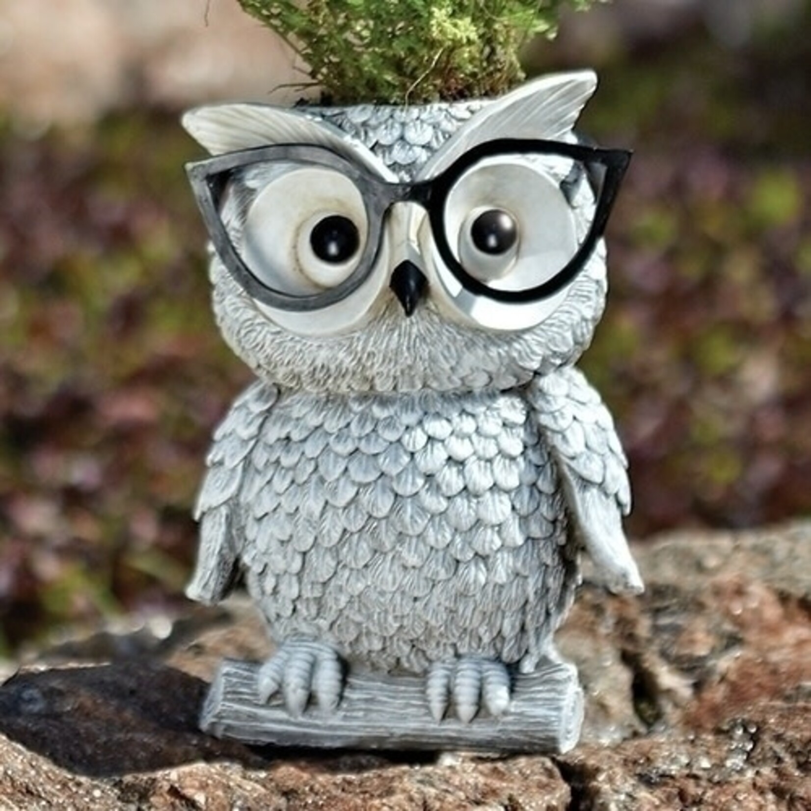 Owl Planter with Silly Spectacles