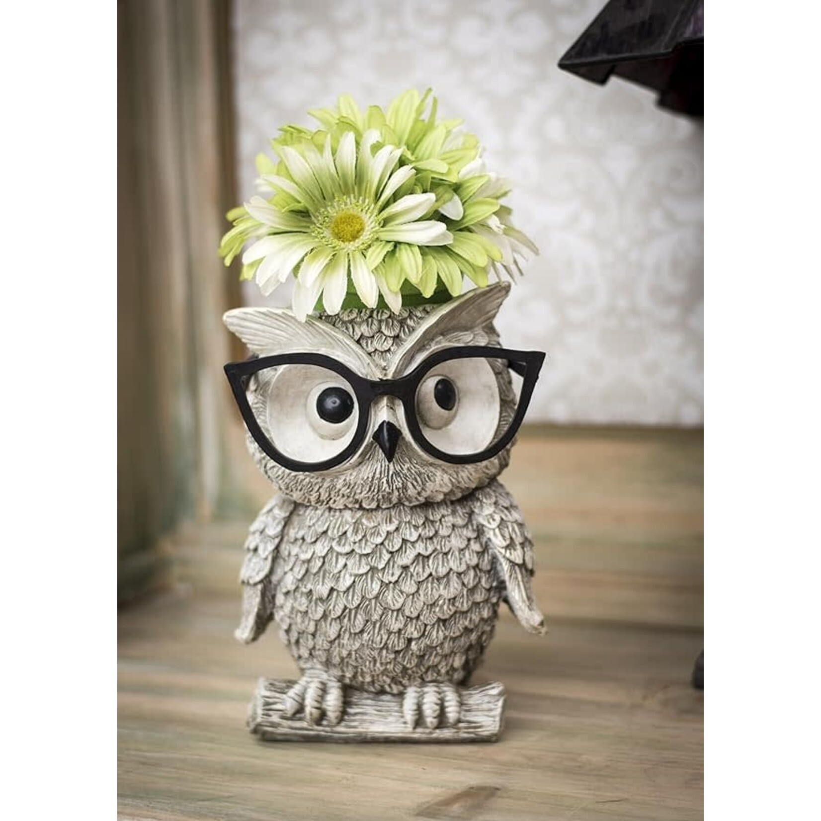Owl Planter with Silly Spectacles