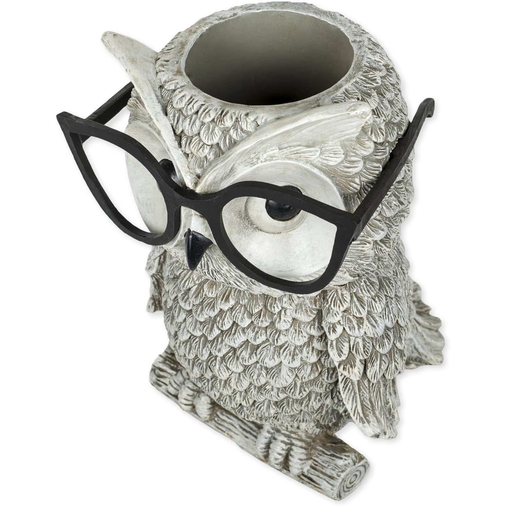 Owl Planter with Silly Spectacles