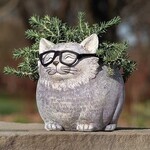 Cat With Glasses Planter( G6)