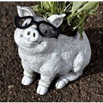 Pig Planter Silly Spectacles