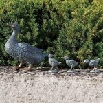 Duck With Ducklings Statue Set