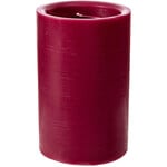 Spiral Candles Cranberry Mango Large