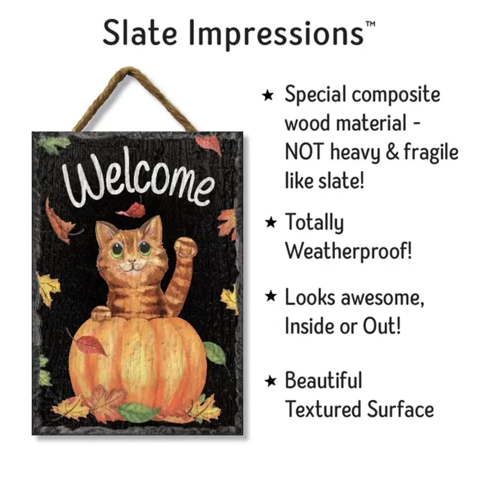 Welcome with Cat in Pumpkin - Slate Impressions
