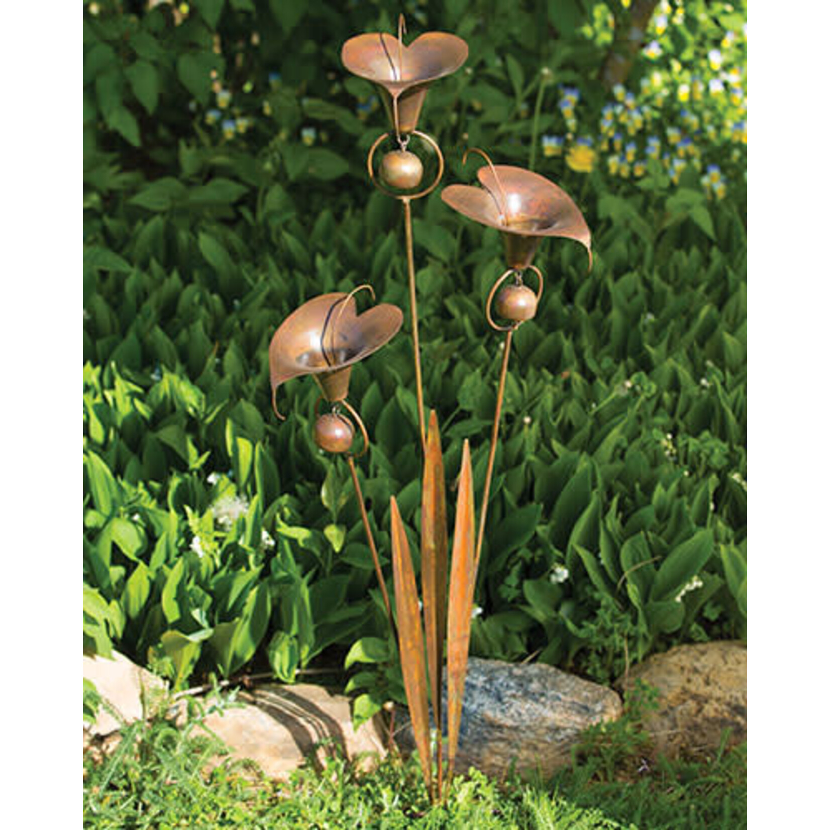 Flamed Triple Calla Lily - Stake