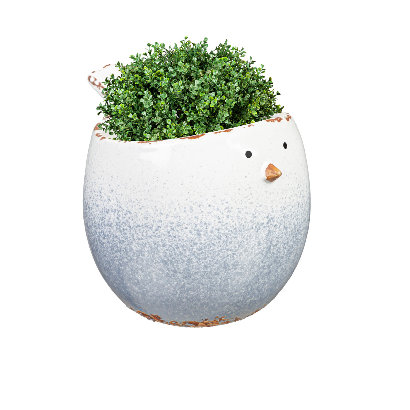 Blue Chubby Bird Planter    (G9)
