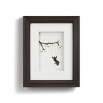 Sharon Nowlan Time To Play Wall Decor