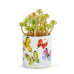 Dean Crouser Flock of Butterflies Pot with Succulent