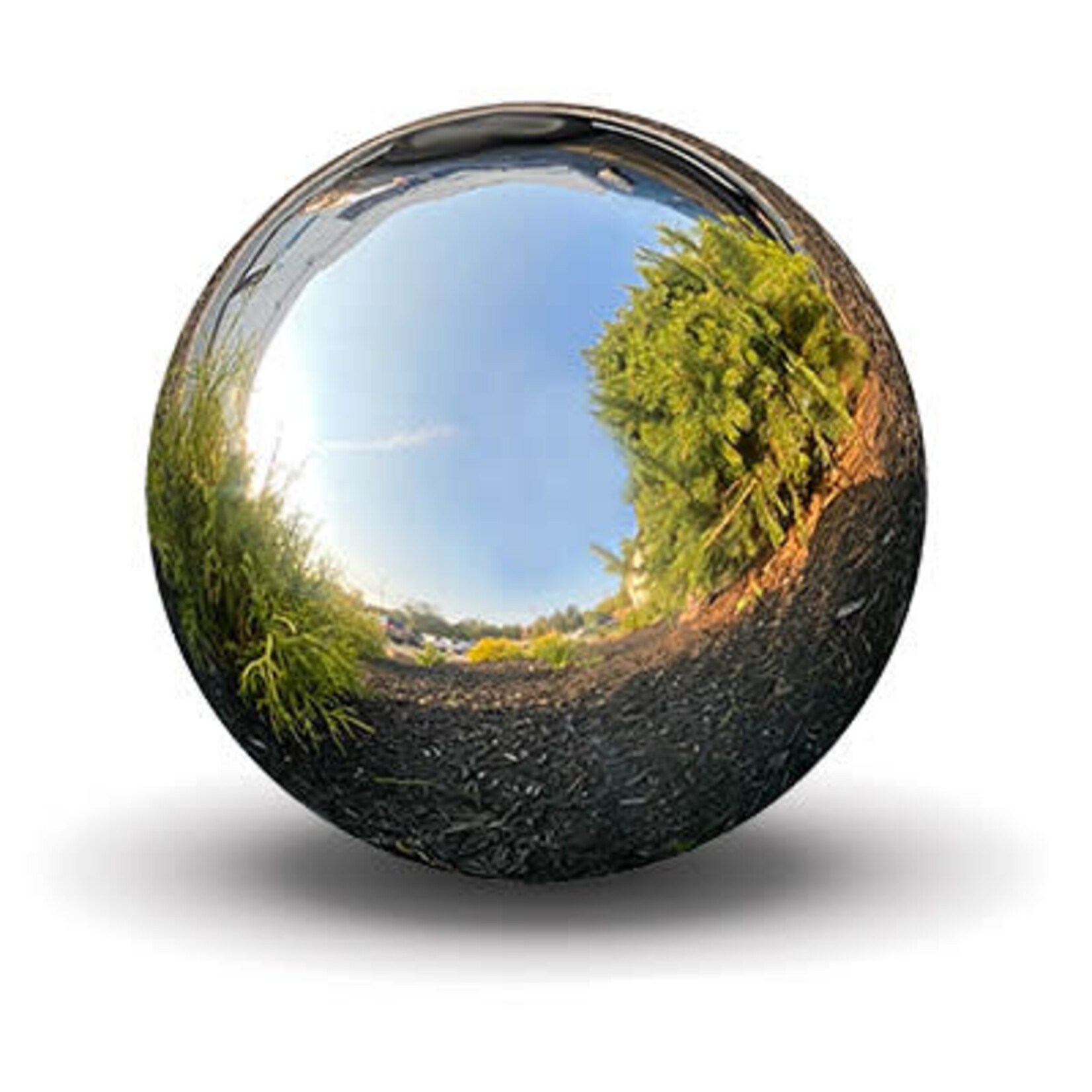 Stainless Steel Globe 6"
