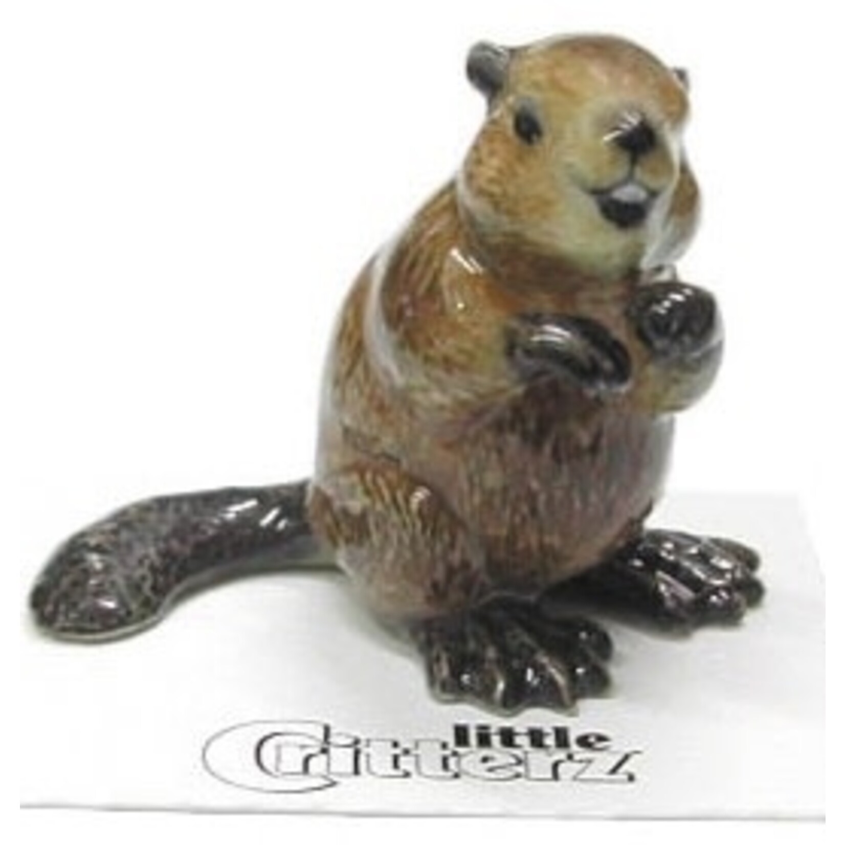 Little Critterz Paddle - Beaver