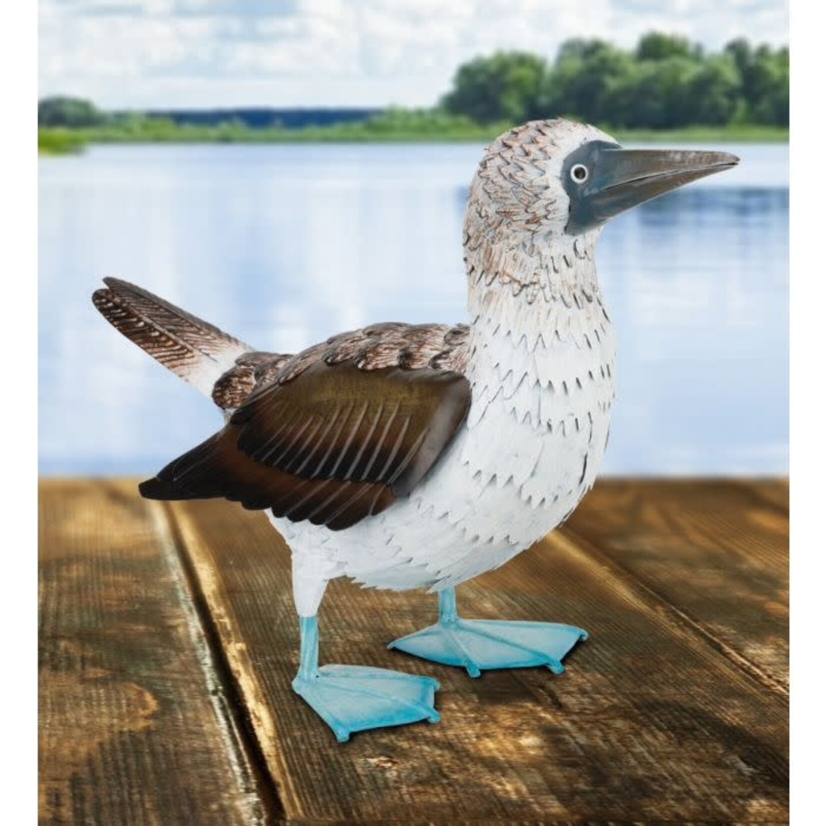 Regal Art & Gift Blue Footed Booby Décor