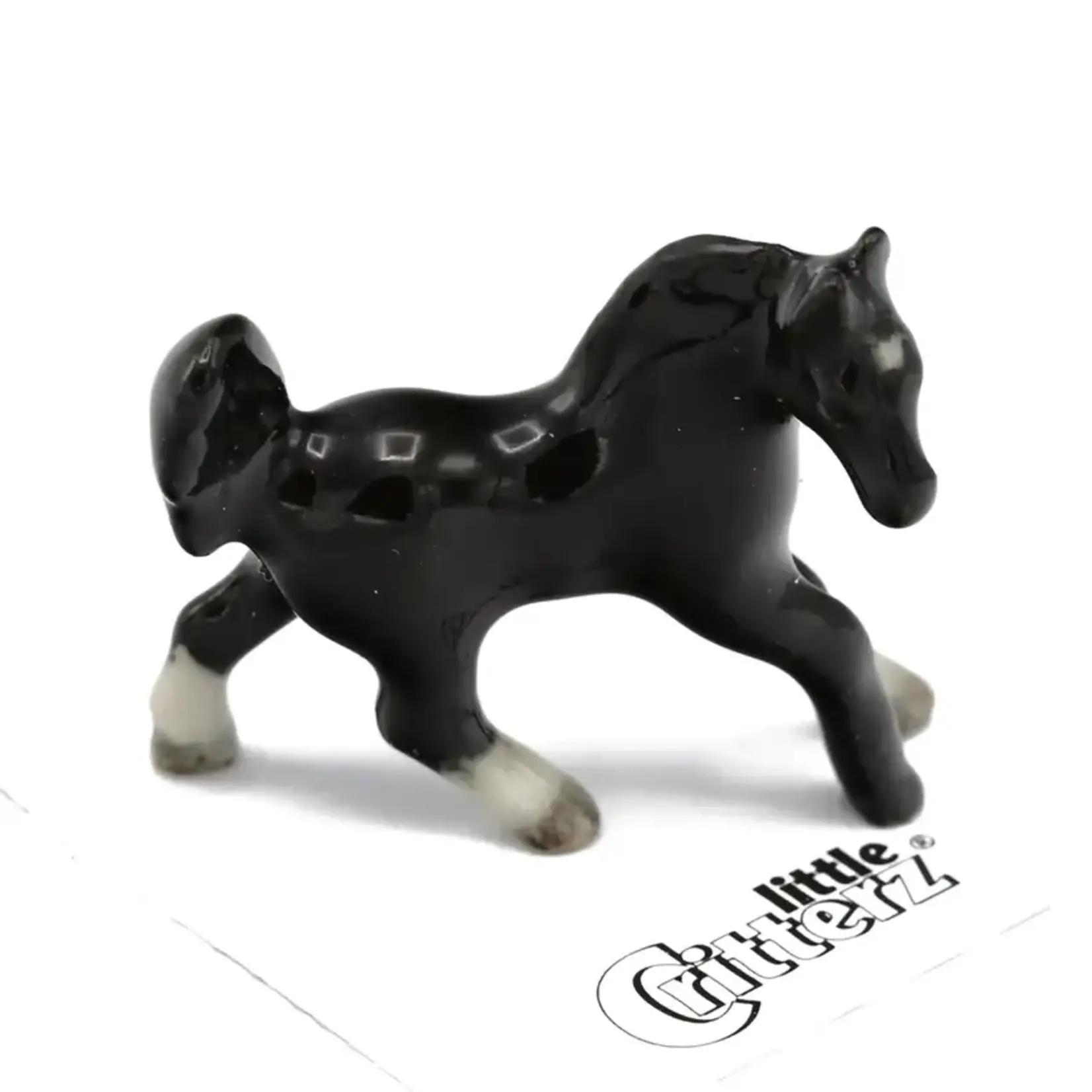 Little Critterz Black Horse - "Star"