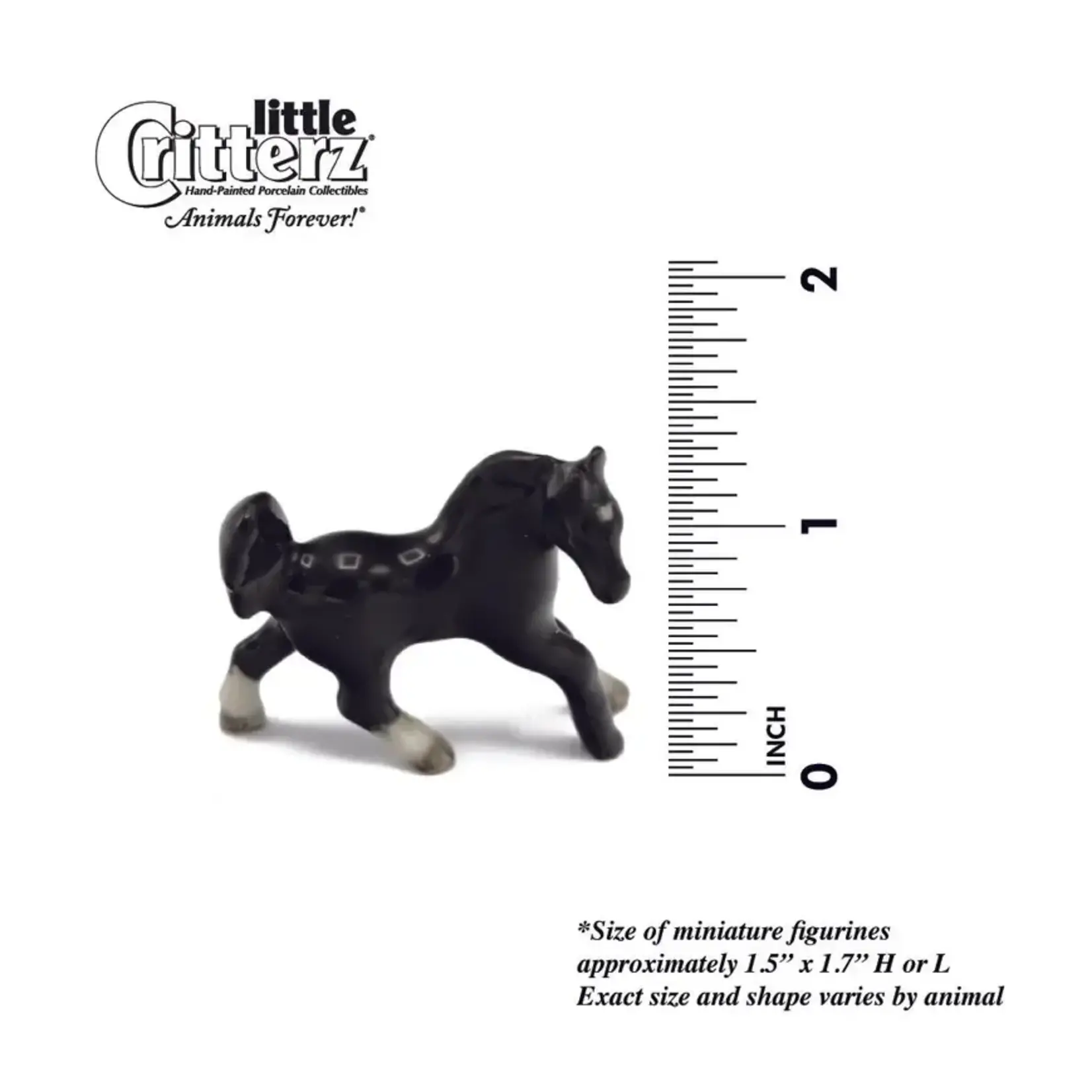 Little Critterz Black Horse - "Star"
