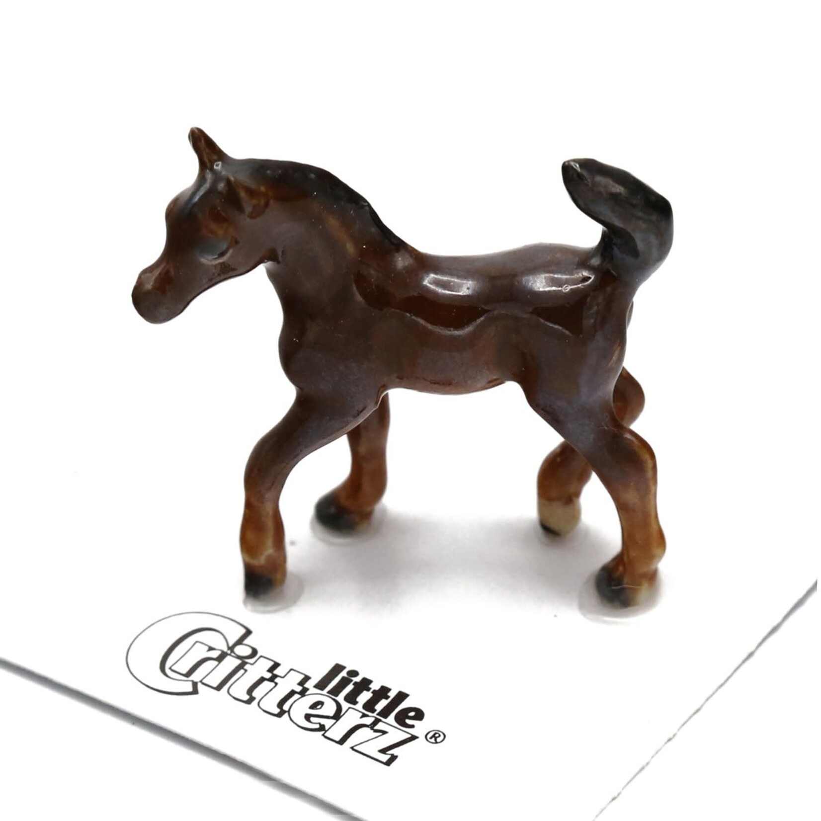 Little Critterz Porcelain Arabian Colt - Horse