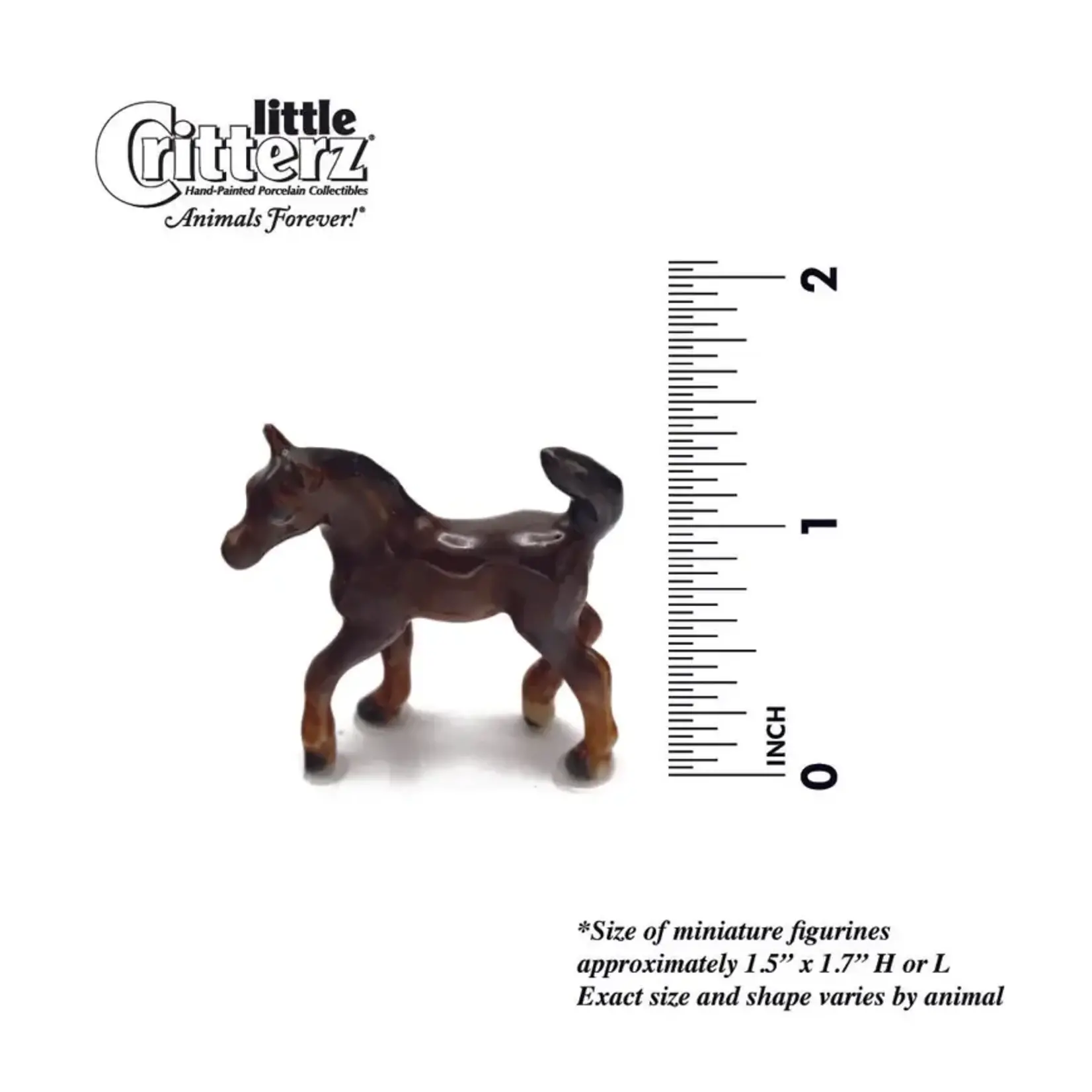 Little Critterz Porcelain Arabian Colt - Horse