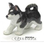 Little Critterz Siberian Husky "Bering"