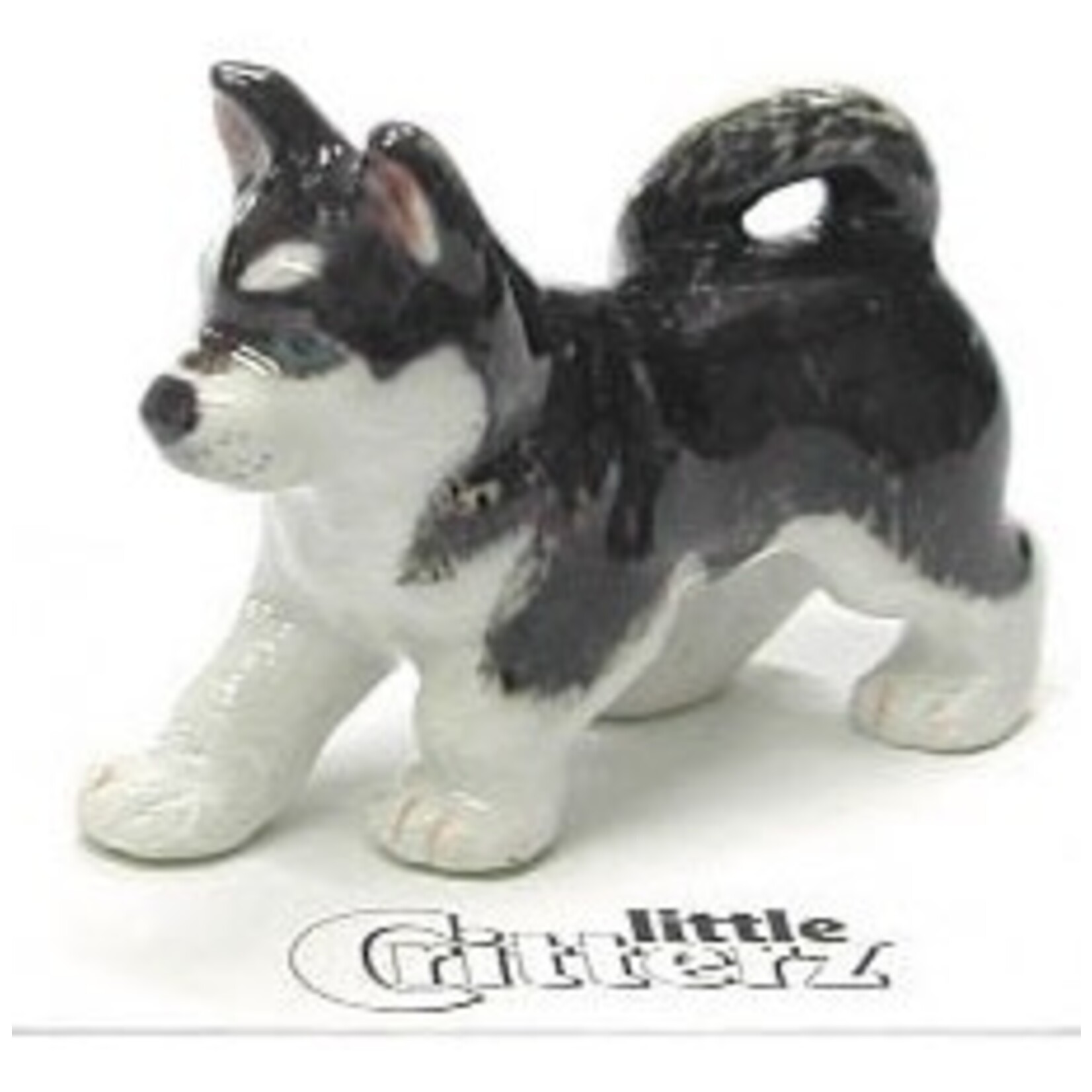 Little Critterz Siberian Husky "Bering"