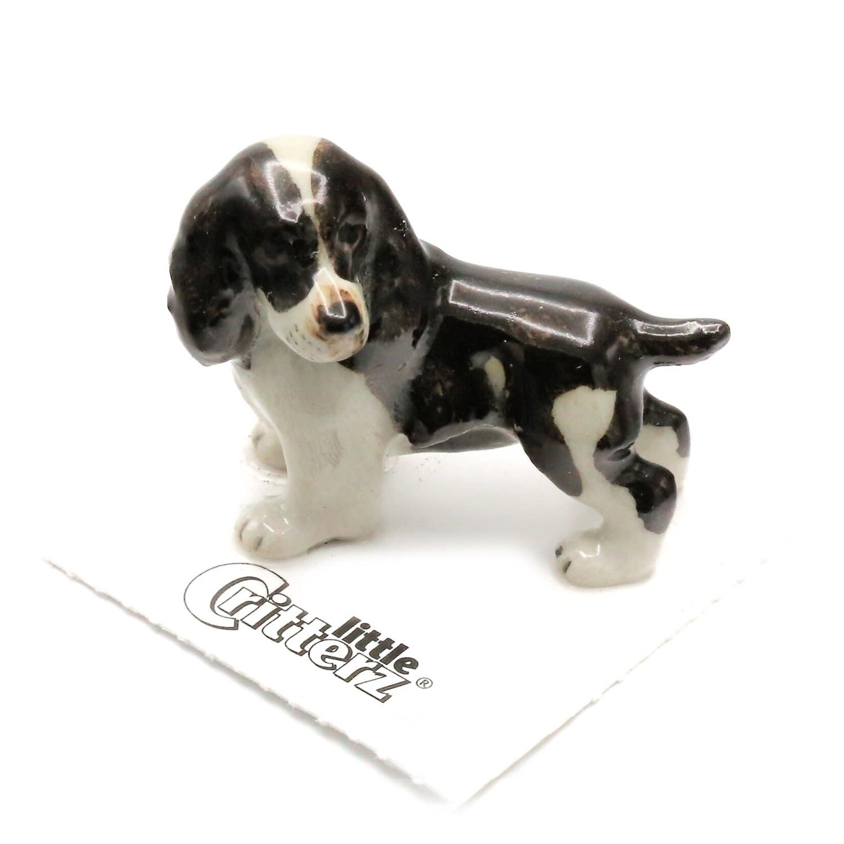Little Critterz English Springer Spaniel - "Milli"