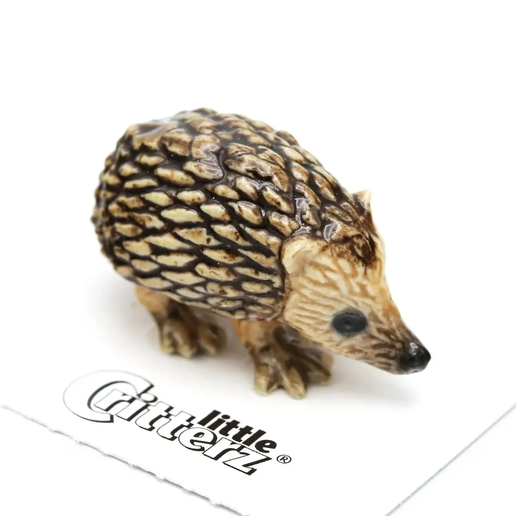 Little Critterz Tiggy - Hedgehog