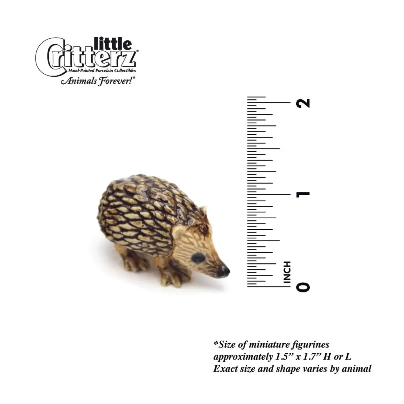 Little Critterz Tiggy - Hedgehog