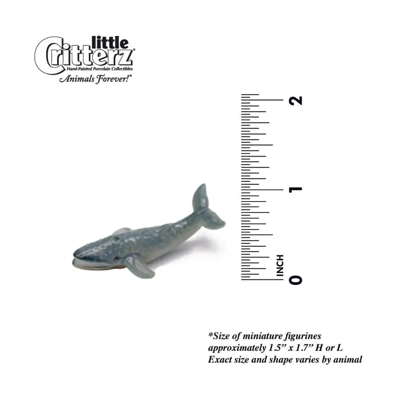 Little Critterz Krill Blue Whale