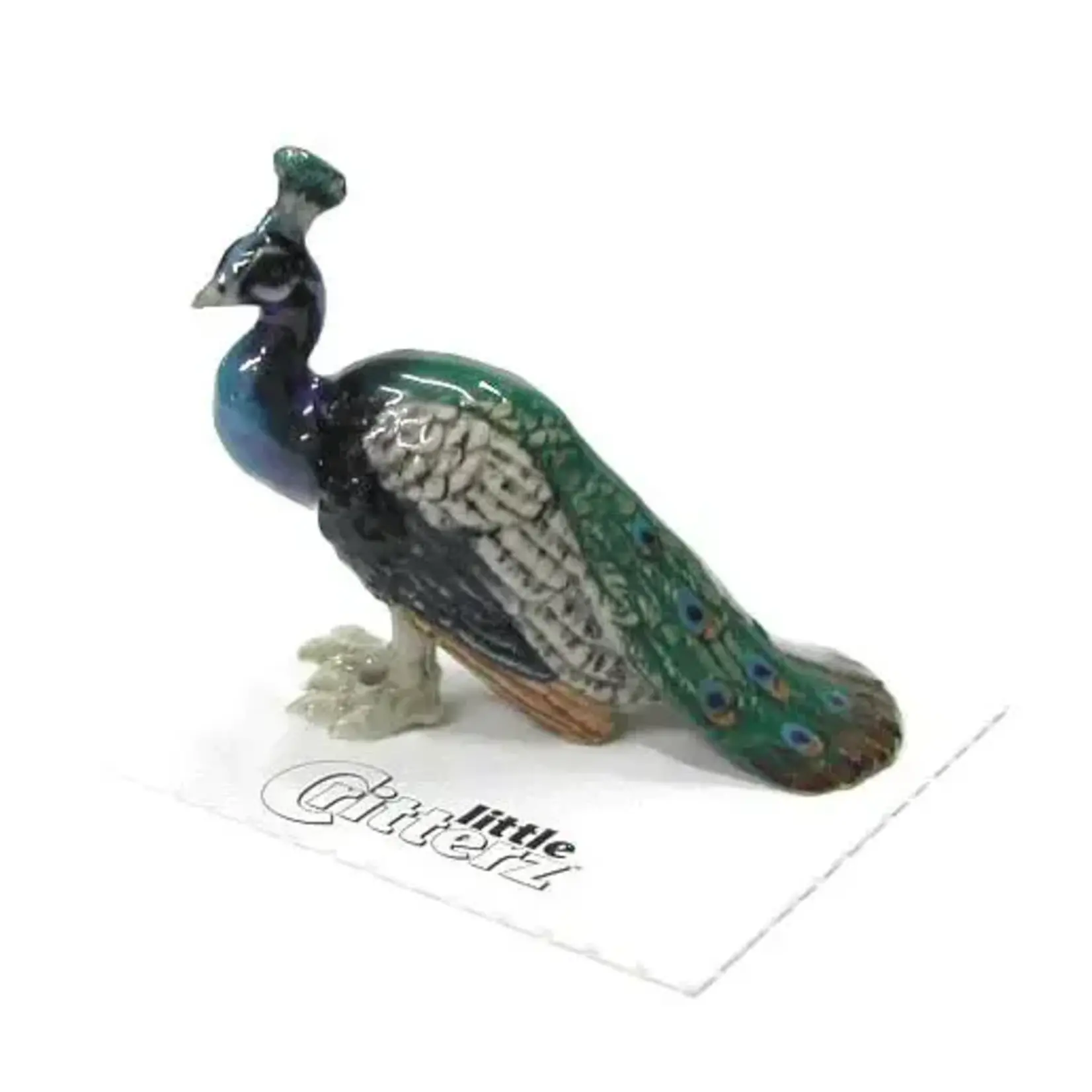 Little Critterz "Shimmer" Peacock (blk pantry)