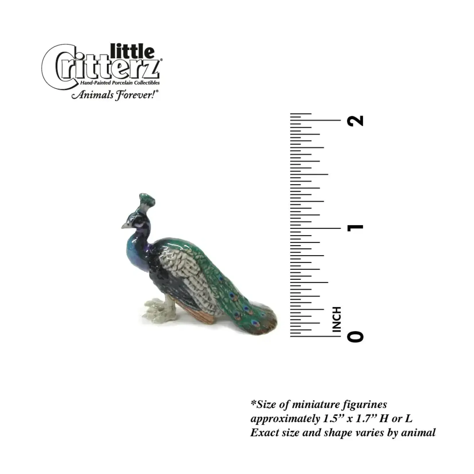 Little Critterz "Shimmer" Peacock (blk pantry)