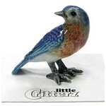 Little Critterz "Melody" Eastern Bluebird