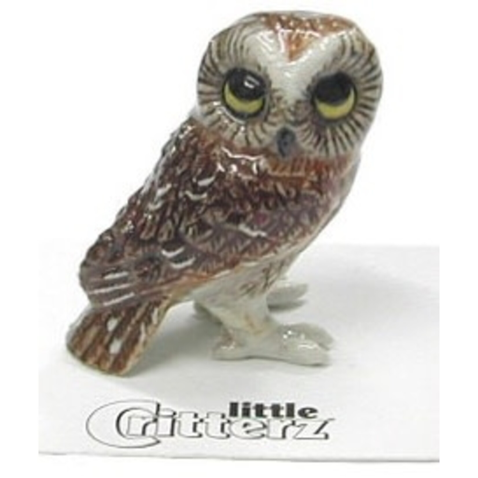 Little Critterz "Sawyer" Saw-whet Owl