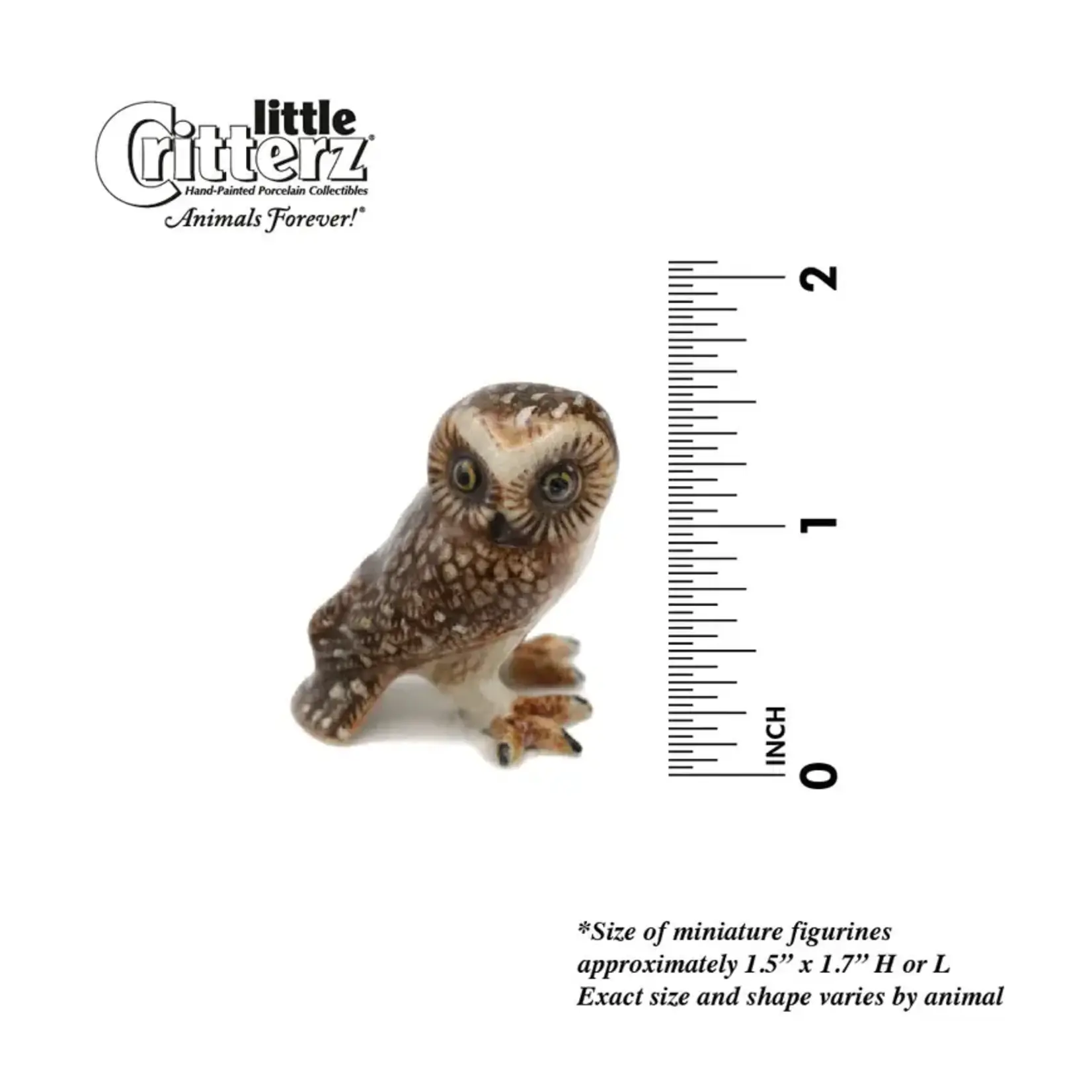 Little Critterz "Sawyer" Saw-whet Owl